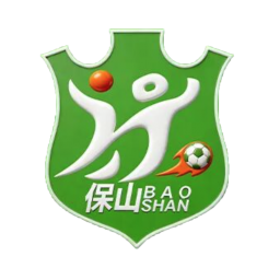 保山队